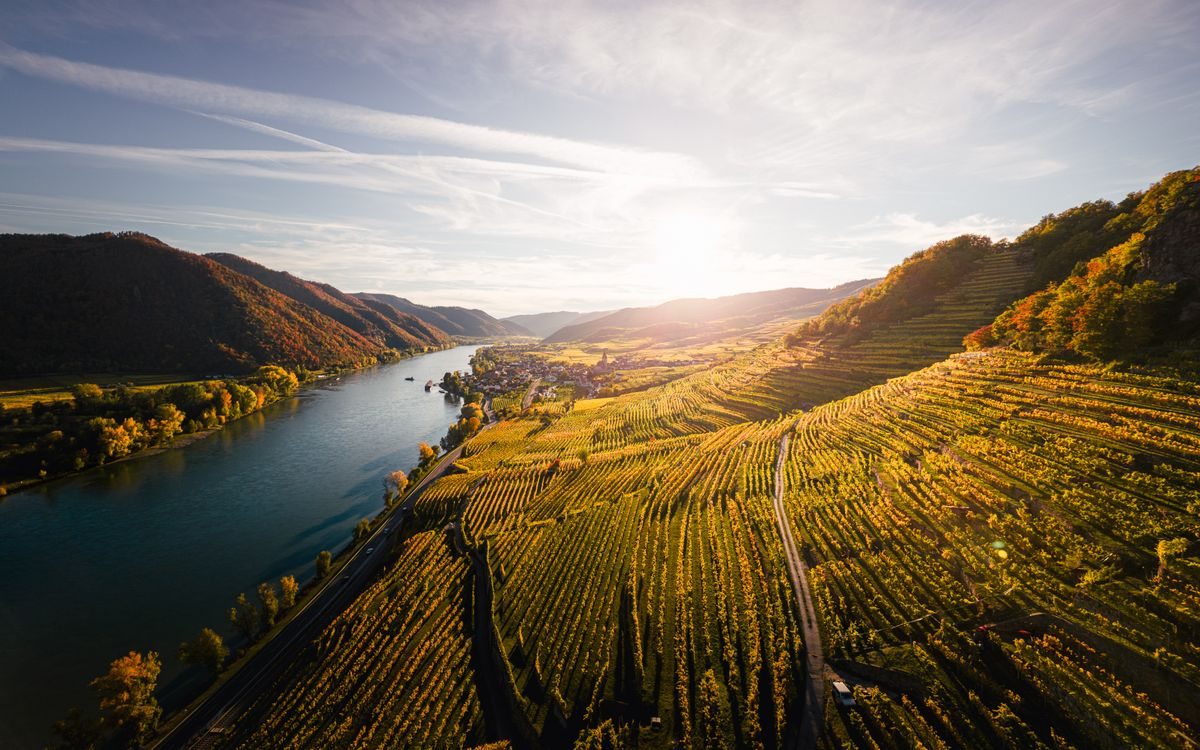 Vale de Wachau ao entardecer, com vinhedos às margens do Danúbio, Áustria