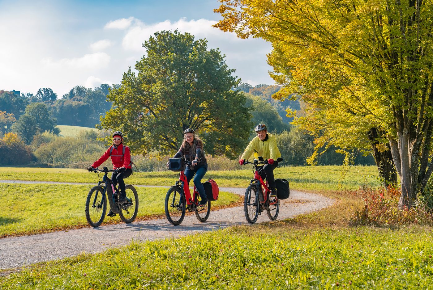 Grupo pedalando de e-bike por um caminho entre vinhedos